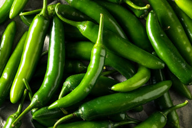 200 Hot SERRANO TAMPIQUENO PEPPER Mexican Chile Capsicum Annuum Vegetable Seeds